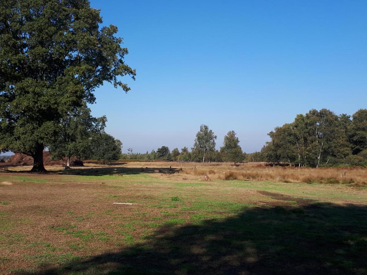 哈克斯贝亨Het Tuffel Huuske住宿加早餐旅馆 外观 照片